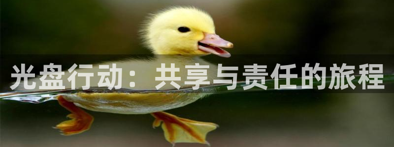 喵趣趣漫画下载：光盘行动：共享与责任的旅程