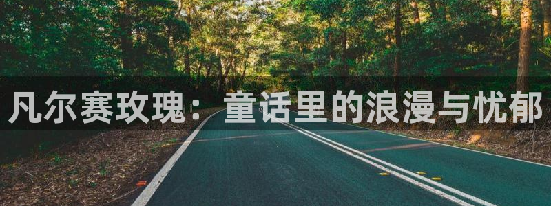 喵趣漫画免费下载：凡尔赛玫瑰：童话里的浪漫与忧郁